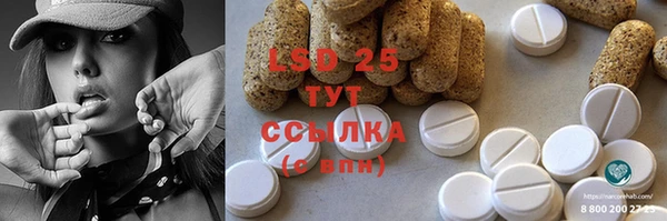 дмт Алзамай