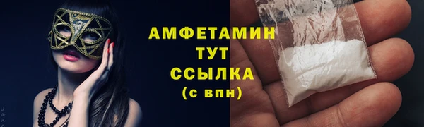 дмт Алзамай