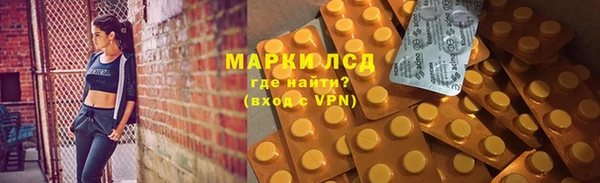 дмт Алзамай